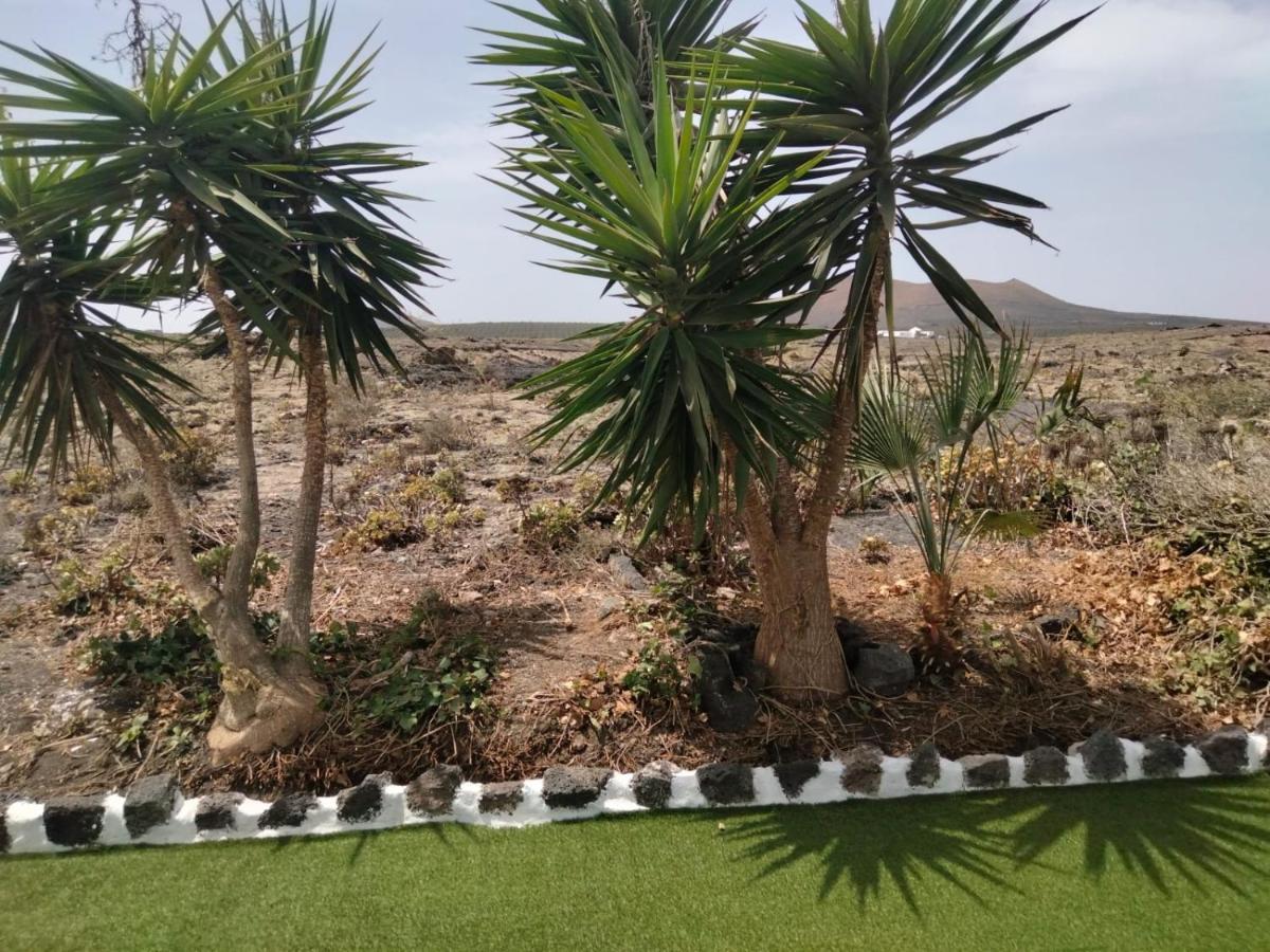 Lanzarote Casa Volcanica-Anclada Sobre La Lava Del Volcan Montana Blanca Exteriör bild