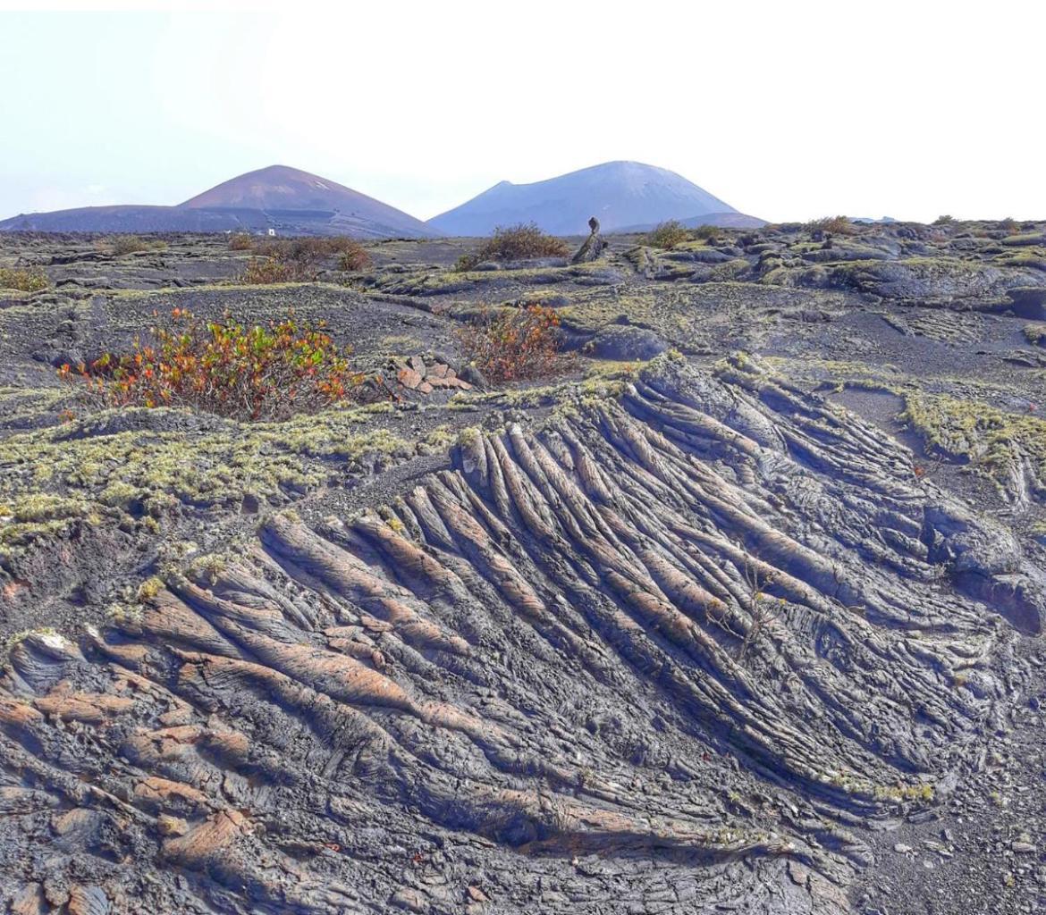 Lanzarote Casa Volcanica-Anclada Sobre La Lava Del Volcan Montana Blanca Exteriör bild