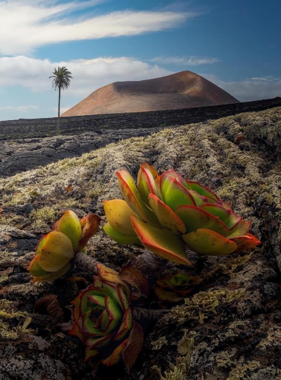 Lanzarote Casa Volcanica-Anclada Sobre La Lava Del Volcan Montana Blanca Exteriör bild